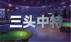 有点料找项目群_有点料找项目群V
